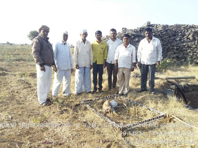 The deer found in the well was found dead in the well | पाण्याच्या शोधात आलेल्या हरणाचा विहिरीत पडून मृत्यू The deer found in the well was found dead in the well | पाण्याच्या शोधात आलेल्या हरणाचा विहिरीत पडून मृत्यू