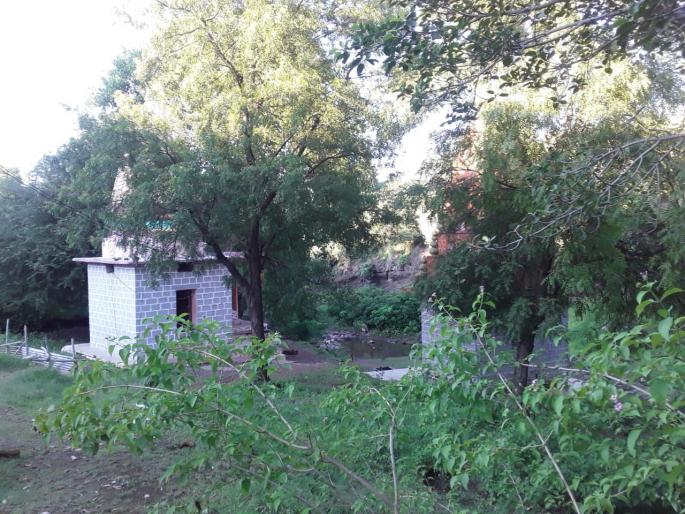 Devotees are barred from entering Devdari, which adds to the beauty of nature | निसर्ग सौंदर्यात भर घालणाऱ्या देवदरीत भाविकांना प्रवेश बंदी Devotees are barred from entering Devdari, which adds to the beauty of nature | निसर्ग सौंदर्यात भर घालणाऱ्या देवदरीत भाविकांना प्रवेश बंदी