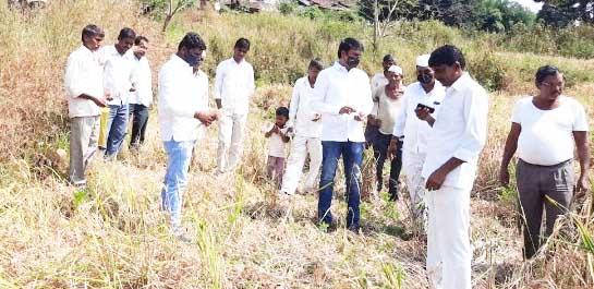 Demand for compensation to the affected farmers | नुकसानग्रस्त शेतकऱ्यांना भरपाई देण्याची मागणी Demand for compensation to the affected farmers | नुकसानग्रस्त शेतकऱ्यांना भरपाई देण्याची मागणी