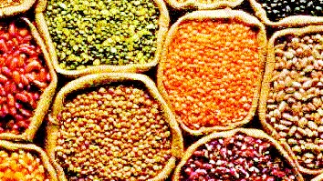 Distribution of pulses to students in rural areas | ग्रामीण भागातील विद्यार्थ्यांना कडधान्याचे होणार वाटप Distribution of pulses to students in rural areas | ग्रामीण भागातील विद्यार्थ्यांना कडधान्याचे होणार वाटप