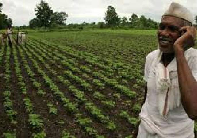 Agricultural Swavalamban scheme is newly implemented | कृषि स्वावलंबन योजना नव्याने कार्यान्वित Agricultural Swavalamban scheme is newly implemented | कृषि स्वावलंबन योजना नव्याने कार्यान्वित