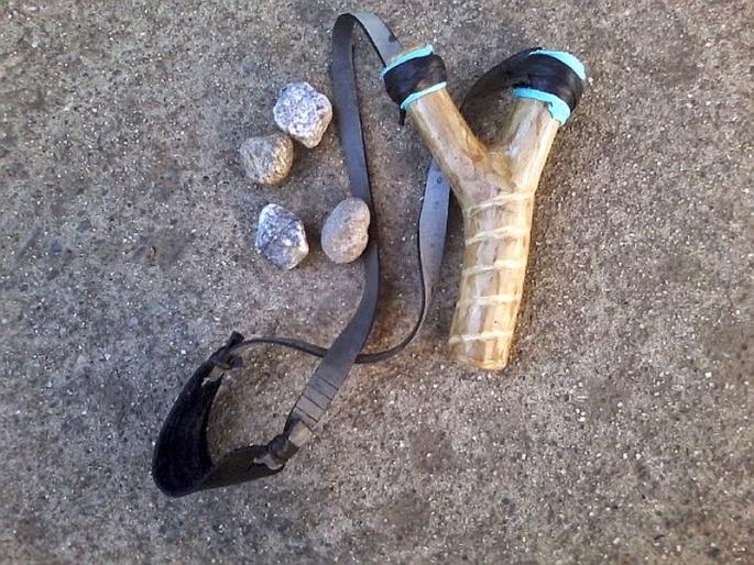 Tailored by the Galleys, not only in the rural areas but by the villagers, the tension of the ten birds | ग्रामिण नव्हे तर चक्क शहरी भागात टवाळखोरांनी घेतला गलोलीद्वारे दहा पक्ष्यांचा बळी Tailored by the Galleys, not only in the rural areas but by the villagers, the tension of the ten birds | ग्रामिण नव्हे तर चक्क शहरी भागात टवाळखोरांनी घेतला गलोलीद्वारे दहा पक्ष्यांचा बळी