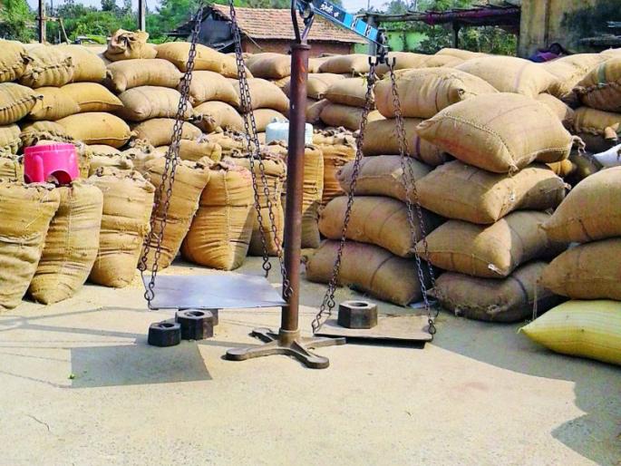 Paddy procurement will start before Diwali | दिवाळीपूर्वी धान खरेदी सुरू हाेणार Paddy procurement will start before Diwali | दिवाळीपूर्वी धान खरेदी सुरू हाेणार