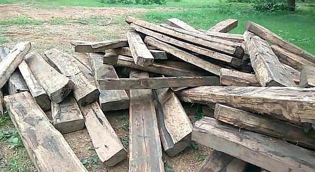 Telangana forest department seized Maharashtra's teak wood | तेलंगणाच्या वन विभागाने जप्त केले महाराष्ट्रातील सागवान Telangana forest department seized Maharashtra's teak wood | तेलंगणाच्या वन विभागाने जप्त केले महाराष्ट्रातील सागवान