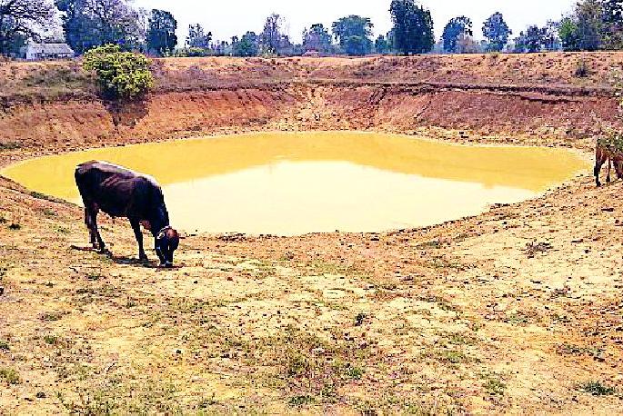 Farmers' Belongings | शेततळ्यांचा पशूंना आधार