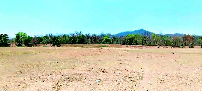 The tiger pool in the tiger reserve is thirsty | व्याघ्र प्रकल्पातील तलाव तहानलेलाच The tiger pool in the tiger reserve is thirsty | व्याघ्र प्रकल्पातील तलाव तहानलेलाच