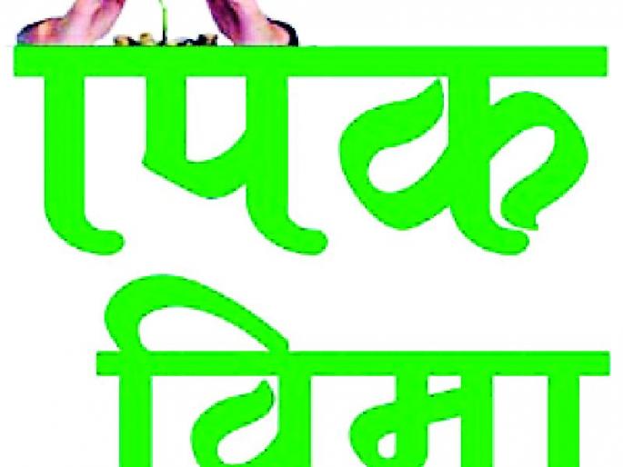 19,000 farmers have taken out crop insurance | ६९ हजार शेतकऱ्यांनी काढला पीक विमा