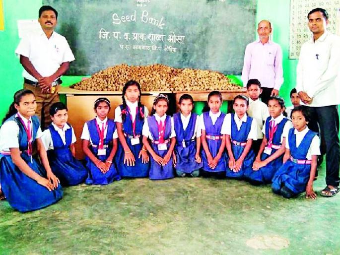 Seed bank prepared by Bhosha school students | भोसा शाळेच्या विद्यार्थ्यांनी तयार केली सीड बँक Seed bank prepared by Bhosha school students | भोसा शाळेच्या विद्यार्थ्यांनी तयार केली सीड बँक
