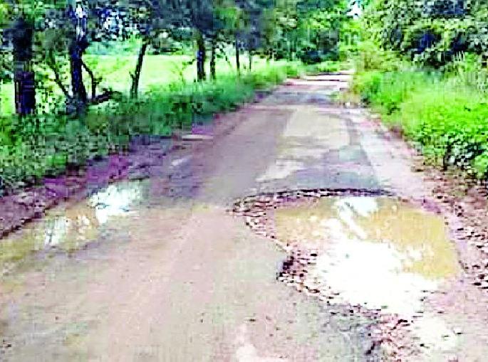 The plight of the Tiroda-Sakoli road | तिरोडा-साकोली रस्त्याची दुर्दशा