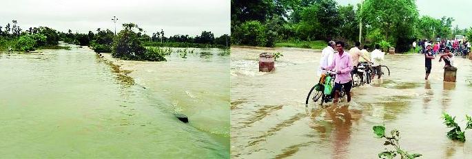 The continuous increase of rain in the district | जिल्ह्यात पावसाची संततधार सुरूच The continuous increase of rain in the district | जिल्ह्यात पावसाची संततधार सुरूच