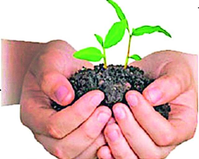 The teacher is excavating the pits | शिक्षक जुंपले खड्डे खोदण्याच्या कामात The teacher is excavating the pits | शिक्षक जुंपले खड्डे खोदण्याच्या कामात