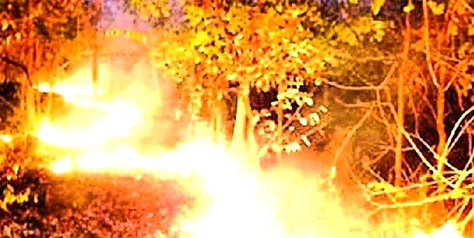 A man was caught while charging | वणवा लावताना एकाला पकडले A man was caught while charging | वणवा लावताना एकाला पकडले