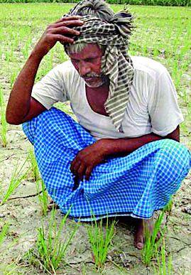 Seven batches of 36 thousand farmers | ३६ हजार शेतकऱ्यांचा सातबारा कोरा Seven batches of 36 thousand farmers | ३६ हजार शेतकऱ्यांचा सातबारा कोरा