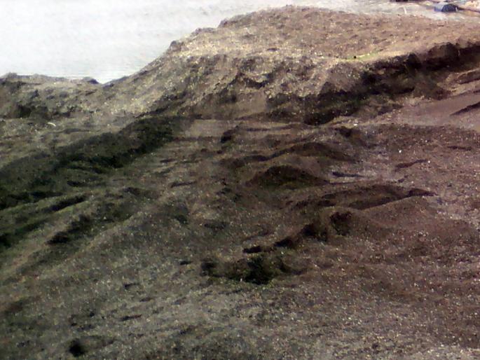  Walaaghat Auction; Wait forever | वाळूघाट लिलाव; प्रतीक्षा कायमच