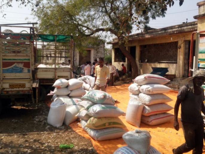 The purchase of Pigeon pea by Nafed decreased | नाफेडची तूर खरेदी घटली