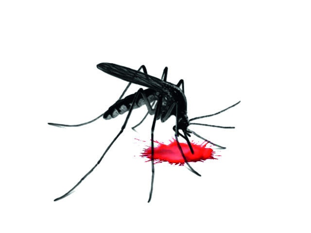 Five suspected dengue cases in one family in Kolhapur | कोल्हापुरात एकाच कुटुंबात डेंग्यूचे पाच संशयित Five suspected dengue cases in one family in Kolhapur | कोल्हापुरात एकाच कुटुंबात डेंग्यूचे पाच संशयित