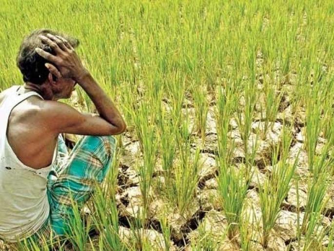 Water on Baliraja's expectations even in kharif season! | खरीप हंगामातही बळीराजाच्या अपेक्षांवर पाणी! Water on Baliraja's expectations even in kharif season! | खरीप हंगामातही बळीराजाच्या अपेक्षांवर पाणी!