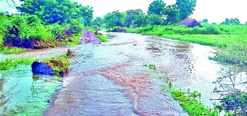 Crop damage due to rains in Malegaon taluka | मालेगाव तालुक्यात पावसाने पिकांचे नुकसान Crop damage due to rains in Malegaon taluka | मालेगाव तालुक्यात पावसाने पिकांचे नुकसान