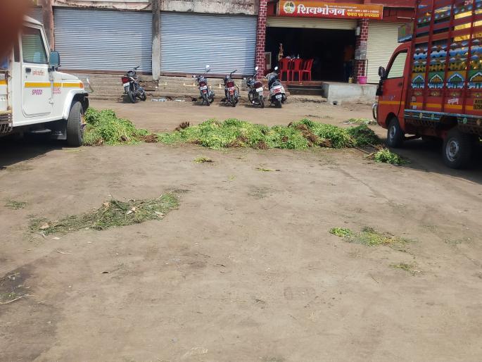 With the increase in arrivals, farmers threw vegetables at them | आवक वाढल्याने शेतकऱ्यांनी भाजीपाला फेकला With the increase in arrivals, farmers threw vegetables at them | आवक वाढल्याने शेतकऱ्यांनी भाजीपाला फेकला