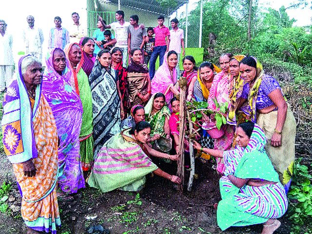 Remembrance of 'those' women, which are preserved by plantation | वृक्षारोपणाद्वारे जपल्या ‘त्या’ महिलांच्या स्मृती