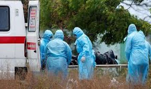 In July, 20 victims died | नंदुरबारात जुलै महिन्यात झाला २० बाधितांचा मृत्यू In July, 20 victims died | नंदुरबारात जुलै महिन्यात झाला २० बाधितांचा मृत्यू