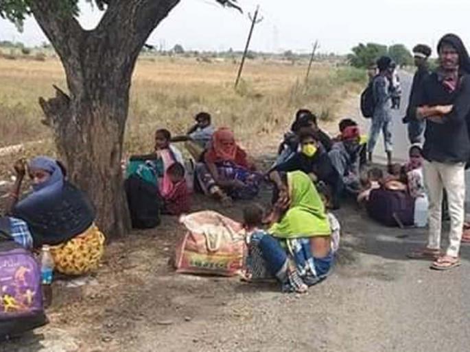 Just a pinch of mud on the zoo | केवळ चिवड्यावरच मैलोची पायपीट Just a pinch of mud on the zoo | केवळ चिवड्यावरच मैलोची पायपीट