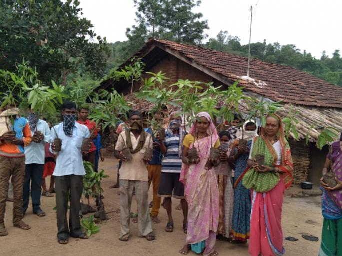 Plantation at Golaspada | गोळसपाडा येथे वृक्षारोपण Plantation at Golaspada | गोळसपाडा येथे वृक्षारोपण