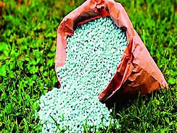 Parbhani: Looted by merchants for chemical fertilizers | परभणी : रासायनिक खतासाठी व्यापाऱ्यांकडून लूट Parbhani: Looted by merchants for chemical fertilizers | परभणी : रासायनिक खतासाठी व्यापाऱ्यांकडून लूट