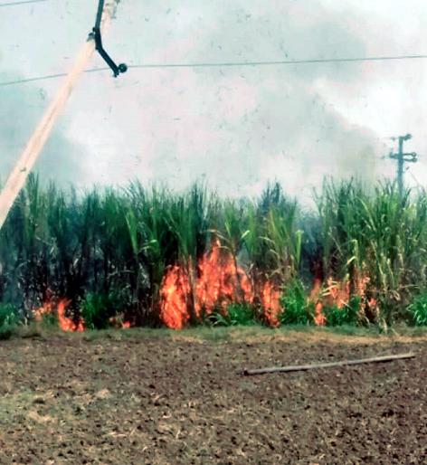 Parbhani: Sugarcane burnt to two farmers | परभणी : दोन शेतकऱ्यांचा जळाला ऊस Parbhani: Sugarcane burnt to two farmers | परभणी : दोन शेतकऱ्यांचा जळाला ऊस