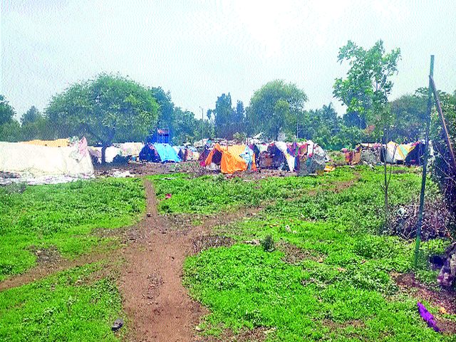 Encroachment at the place of Sadhugram | साधुग्रामच्या जागेवर अतिक्रमण