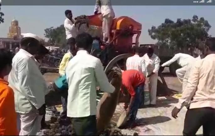 Hurda .. The wheezing machine was packed and the vessel felt | हुरडा.. चक्क मळणी यंत्रानं भरडला अन् पोत्यानं वाटला