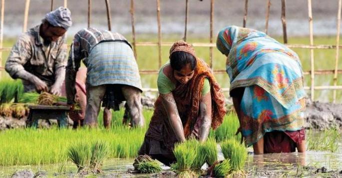 Farmers locked down for kharif season ... | खरीप हंगामासाठी शेतकऱ्यांना लॉकडाऊन पावला...