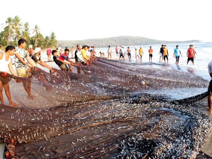 Sindhudurg ... otherwise the fishermen will raise their agitation: Brother Khobrekar's warning | सिंधुदुर्ग ...अन्यथा मच्छिमारांच्यावतीने आंदोलन करणार : भाई खोबरेकर यांचा इशारा Sindhudurg ... otherwise the fishermen will raise their agitation: Brother Khobrekar's warning | सिंधुदुर्ग ...अन्यथा मच्छिमारांच्यावतीने आंदोलन करणार : भाई खोबरेकर यांचा इशारा