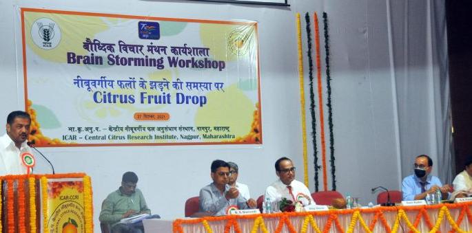 No grants, find a solution to the orange spill, | अनुदान नको, संत्रा गळतीवर उपाय शोधा, मंत्र्यांच्या उपस्थितीत उत्पादकांचा संताप