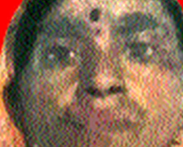 Husband commits suicide by killing his wife | पत्नीची हत्या करून पतीचीही आत्महत्या Husband commits suicide by killing his wife | पत्नीची हत्या करून पतीचीही आत्महत्या