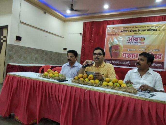 Mango production decreases: Organizer information at the Mango Festival press conference | आंब्याचे उत्पादन घटतंय : आंबा महोत्सव पत्रकार परिषदेत आयोजकांची माहिती Mango production decreases: Organizer information at the Mango Festival press conference | आंब्याचे उत्पादन घटतंय : आंबा महोत्सव पत्रकार परिषदेत आयोजकांची माहिती