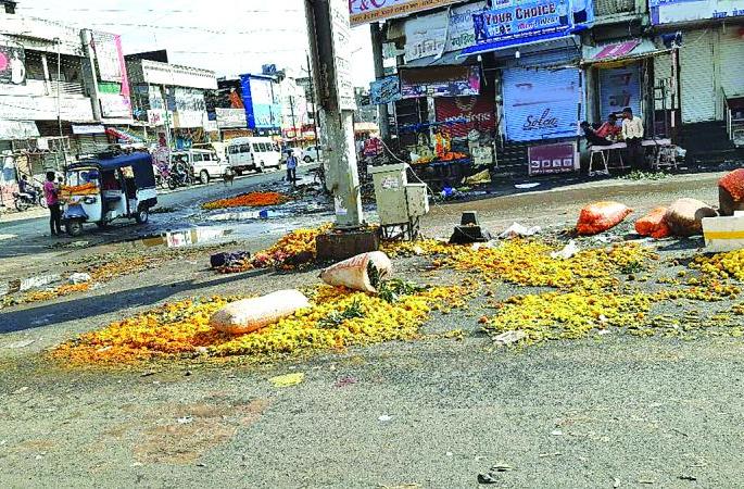Due to the rains, the flower growers lost millions of rupees | पावसामुळे झेंडू उत्पादकांचे लाखो रुपयांचे नुकसान Due to the rains, the flower growers lost millions of rupees | पावसामुळे झेंडू उत्पादकांचे लाखो रुपयांचे नुकसान
