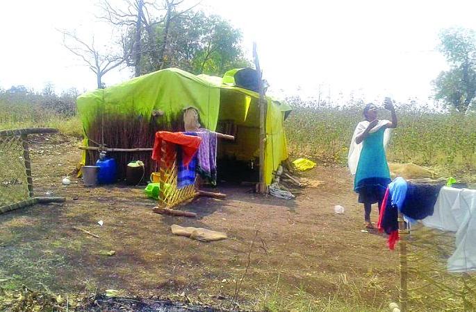 Villagers lived in farmland to escape 'corona' | 'कोरोना'पासून बचावासाठी ग्रामस्थांचे शेतशिवारात वास्तव्य Villagers lived in farmland to escape 'corona' | 'कोरोना'पासून बचावासाठी ग्रामस्थांचे शेतशिवारात वास्तव्य