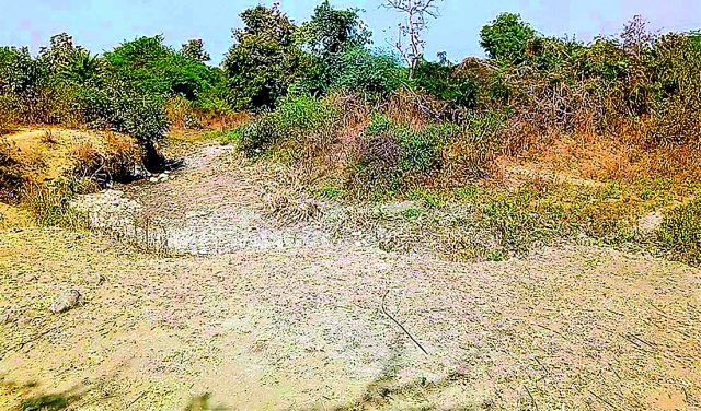 Dry rivers in the rivers and canals | शेतशिवारातील नदी-नाल्यांना कोरड