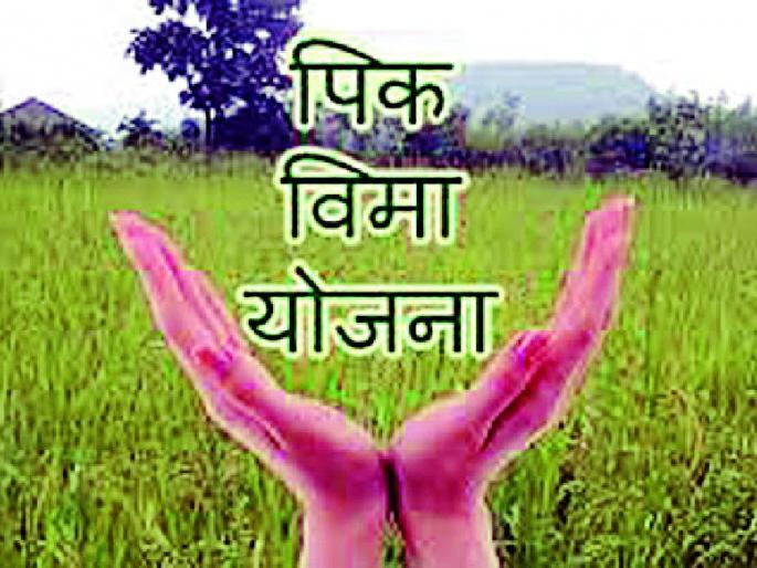 Customize the Prime Minister's Crop Insurance Scheme | पंतप्रधान पीक विमा योजना ऐच्छिक करा Customize the Prime Minister's Crop Insurance Scheme | पंतप्रधान पीक विमा योजना ऐच्छिक करा