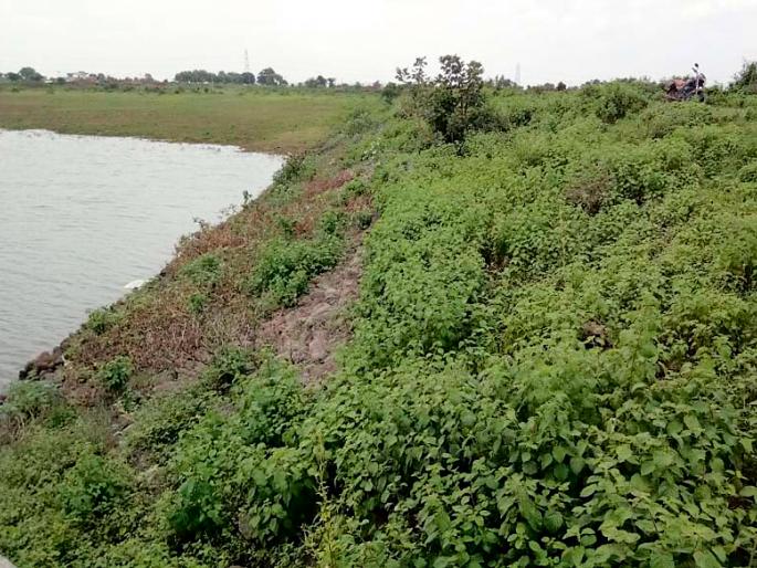 The pond walls also threat | तलावाच्या भिंतींनाही धोका The pond walls also threat | तलावाच्या भिंतींनाही धोका