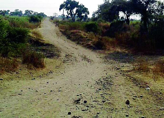 Eclipse from Sadulabad to Kawtha road | रसुलाबाद ते कवठा रस्त्याला उदासीनतेचे ग्रहण Eclipse from Sadulabad to Kawtha road | रसुलाबाद ते कवठा रस्त्याला उदासीनतेचे ग्रहण