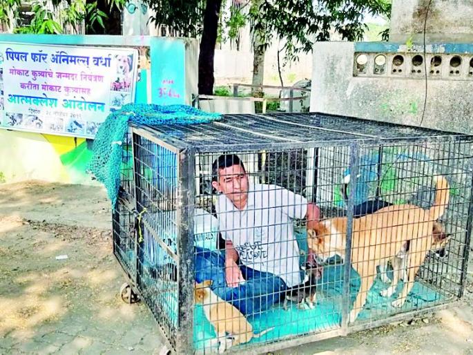 Zoological Suicide with Mokat Dogs | मोकाट श्वानांसह प्राणीमित्राचा आत्मक्लेश Zoological Suicide with Mokat Dogs | मोकाट श्वानांसह प्राणीमित्राचा आत्मक्लेश