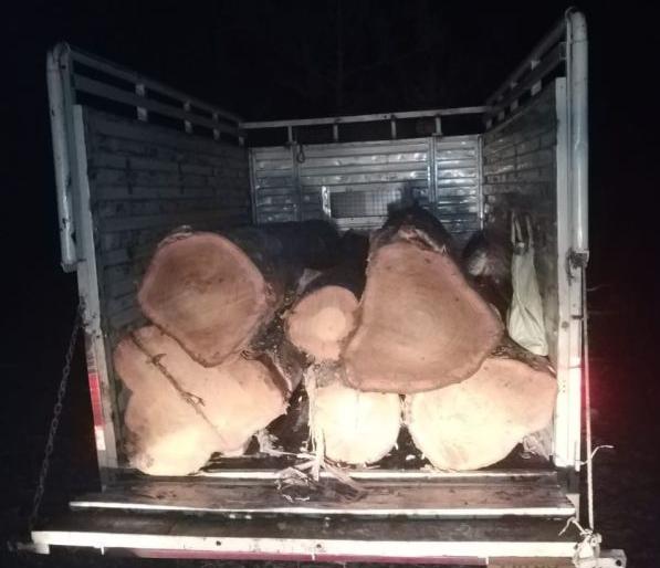 Teak wood filled truck caught in Bhandara district | सागवानाच्या लाकडाने भरलेला मिनीट्रक भंडारा जिल्ह्यात पकडला