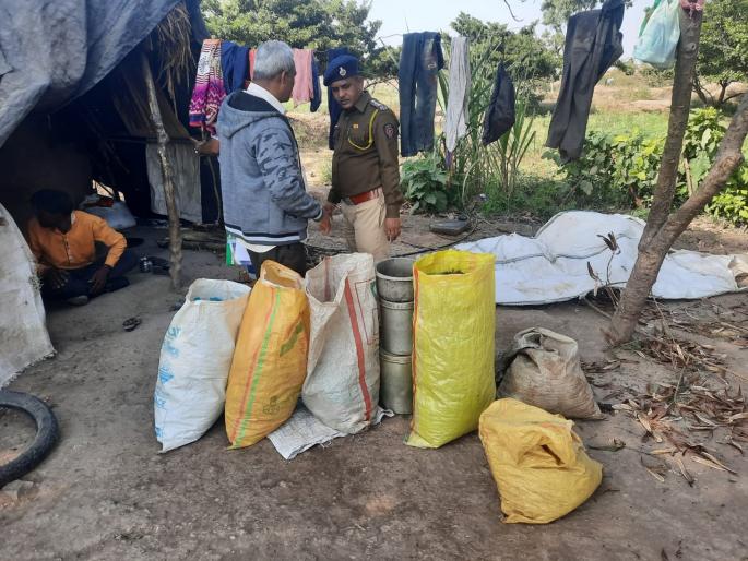 Illegal cannabis worth Rs 11 lakh seized in Mamdapur Shivara | ममदापूर शिवारात ११ लाखांचा अवैध गांजा जप्त Illegal cannabis worth Rs 11 lakh seized in Mamdapur Shivara | ममदापूर शिवारात ११ लाखांचा अवैध गांजा जप्त