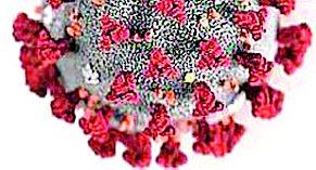 The tenth victim died of the corona virus | कोरोना विषाणूने घेतला दहावा बळी The tenth victim died of the corona virus | कोरोना विषाणूने घेतला दहावा बळी