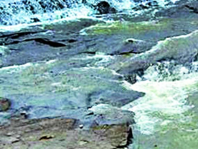 Pous dam water level decreased | पूस धरणाची पाणी पातळी घटली Pous dam water level decreased | पूस धरणाची पाणी पातळी घटली