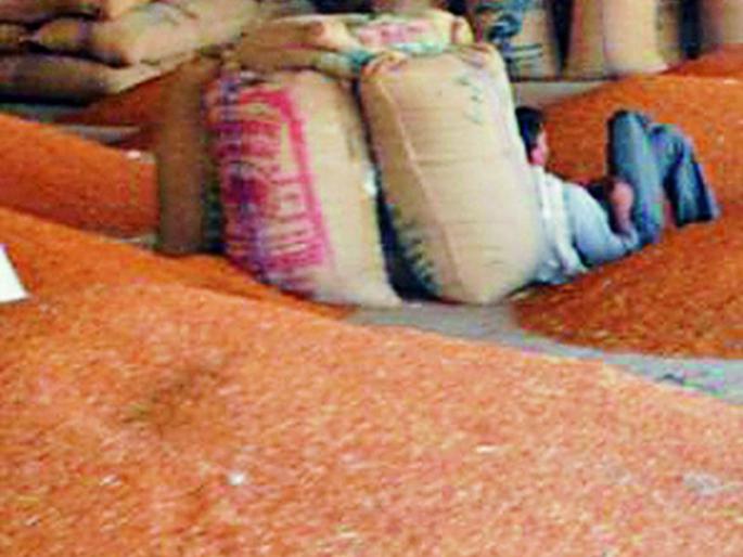 Only 40 crores of rupees came in | तुरीच्या चुकाऱ्याचे केवळ ४० कोटी आले Only 40 crores of rupees came in | तुरीच्या चुकाऱ्याचे केवळ ४० कोटी आले