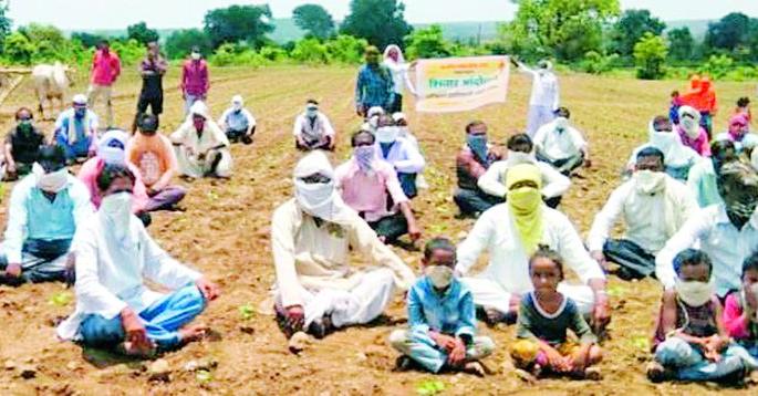 JCB operated in vertical crops | उभ्या पिकांत चालविला जेसीबी JCB operated in vertical crops | उभ्या पिकांत चालविला जेसीबी