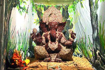 Five thousand pieces of gold | पाच हजार चिंचोक्यांचा श्रीगणेश Five thousand pieces of gold | पाच हजार चिंचोक्यांचा श्रीगणेश